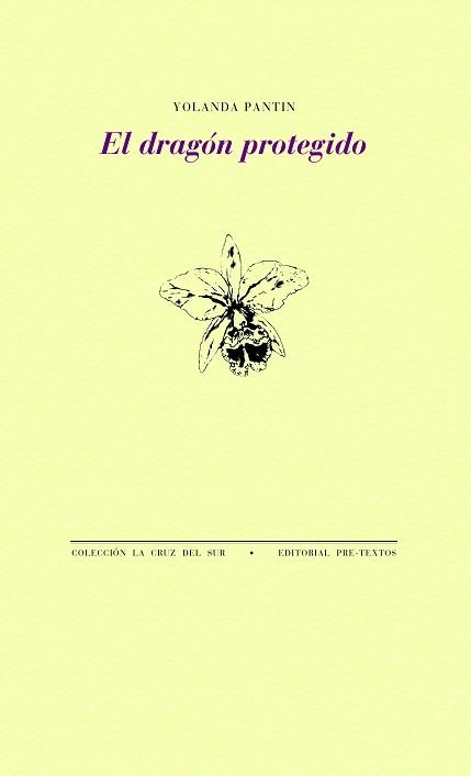 EL DRAGÓN PROTEGIDO | 9788418178788 | PANTIN,YOLANDA | Llibreria Geli - Llibreria Online de Girona - Comprar llibres en català i castellà