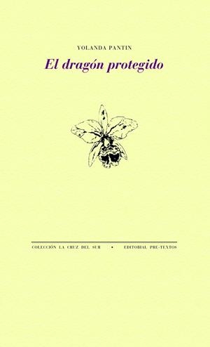 EL DRAGÓN PROTEGIDO | 9788418178788 | PANTIN,YOLANDA | Llibreria Geli - Llibreria Online de Girona - Comprar llibres en català i castellà