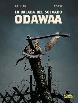 LA BALADA DEL SOLDADO ODAWAA | 9788467945768 | APIKIAN/ROSSI | Libreria Geli - Librería Online de Girona - Comprar libros en catalán y castellano