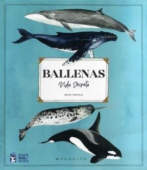 BALLENAS.VIDA SECRETA | 9788412247947 | ORTEGA,RENA | Libreria Geli - Librería Online de Girona - Comprar libros en catalán y castellano