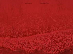 NORMANDIE | 9788417769482 | NAVE,EDUARDO | Libreria Geli - Librería Online de Girona - Comprar libros en catalán y castellano