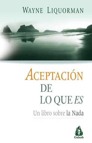 ACEPTACION DE LO QUE ES.UN LIBRO SOBRE LA NADA | 9788486797966 | LIQUORMAN,WAYNE | Llibreria Geli - Llibreria Online de Girona - Comprar llibres en català i castellà