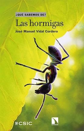 LAS HORMIGAS | 9788413522753 | VIDAL CORDERO,JOSE MANUEL | Libreria Geli - Librería Online de Girona - Comprar libros en catalán y castellano