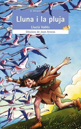 LA LLUNA I LA PLUJA | 9788476609644 | VALLES,LLUCIA | Libreria Geli - Librería Online de Girona - Comprar libros en catalán y castellano