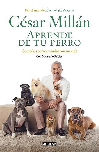 APRENDE DE TU PERRO.CÓMO LOS PERROS CAMBIARON MI VIDA | 9788403518445 | MILLÁN,CÉSAR | Libreria Geli - Librería Online de Girona - Comprar libros en catalán y castellano