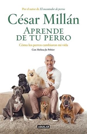 APRENDE DE TU PERRO.CÓMO LOS PERROS CAMBIARON MI VIDA | 9788403518445 | MILLÁN,CÉSAR | Libreria Geli - Librería Online de Girona - Comprar libros en catalán y castellano