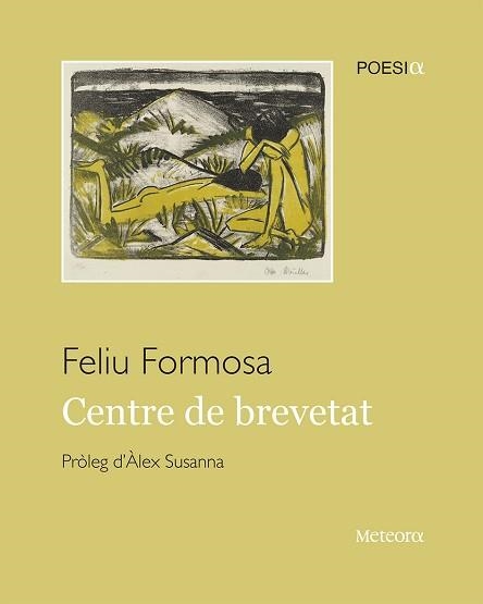 CENTRE DE BREVETAT | 9788412293050 | FORMOSA,FELIU | Libreria Geli - Librería Online de Girona - Comprar libros en catalán y castellano