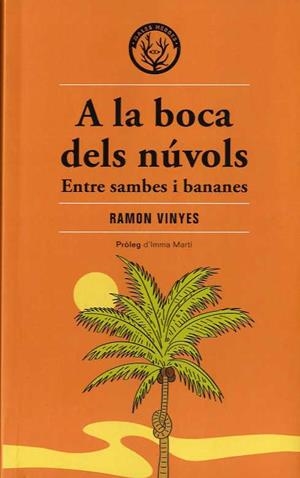 A LA BOCA DELS NÚVOLS | 9788412316582 | VINYES,RAMON | Llibreria Geli - Llibreria Online de Girona - Comprar llibres en català i castellà