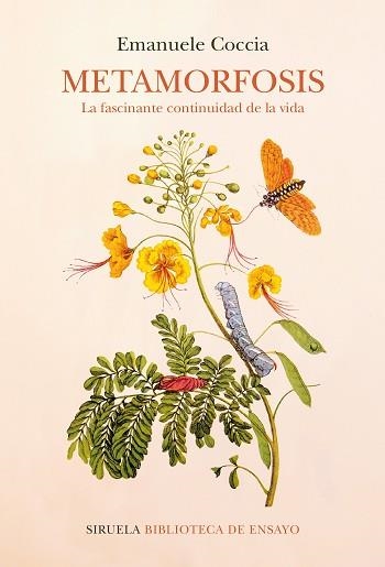 METAMORFOSIS.LA FASCINANTE CONTINUIDAD DE LA VIDA | 9788418859052 | COCCIA,EMANUELE | Libreria Geli - Librería Online de Girona - Comprar libros en catalán y castellano
