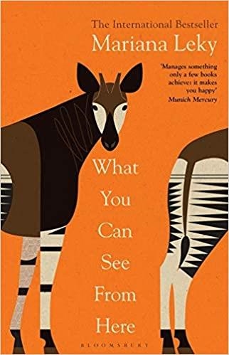 WHAT YOU CAN SEE FROM HERE | 9781526638540 | LEKY,MARIANA | Llibreria Geli - Llibreria Online de Girona - Comprar llibres en català i castellà
