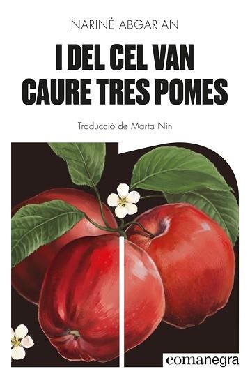 I DEL CEL VAN CAURE TRES POMES | 9788418857041 | ABGARIAN,NARINÉ | Libreria Geli - Librería Online de Girona - Comprar libros en catalán y castellano