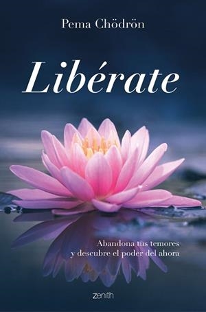 LIBÉRATE.ABANDONA TUS TEMORES Y DESCUBRE EL PODER DEL AHORA | 9788408249412 | CHÖDRÖN,PEMA | Libreria Geli - Librería Online de Girona - Comprar libros en catalán y castellano
