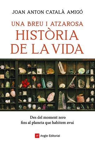 UNA BREU I ATZAROSA HISTÒRIA DE LA VIDA | 9788418197956 | CATALÀ AMIGÓ,JOAN ANTON | Libreria Geli - Librería Online de Girona - Comprar libros en catalán y castellano