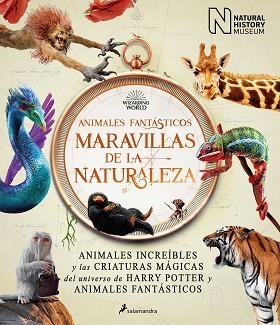 ANIMALES FANTÁSTICOS:MARAVILLAS DE LA NATURALEZA | 9788418637056 | Libreria Geli - Librería Online de Girona - Comprar libros en catalán y castellano