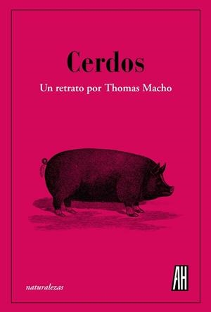 CERDOS.UN RETRATO POR THOMAS MACHO | 9788412403398 | MACHO, THOMAS | Llibreria Geli - Llibreria Online de Girona - Comprar llibres en català i castellà