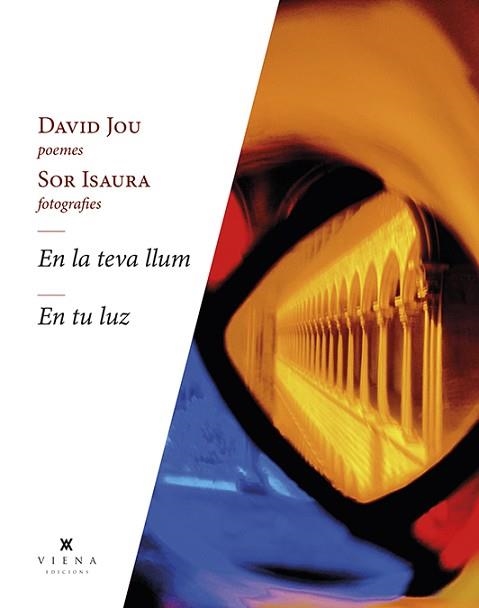 EN LA TEVA LLUM-EN TU LUZ | 9788418908262 | JOU,DAVID | Libreria Geli - Librería Online de Girona - Comprar libros en catalán y castellano