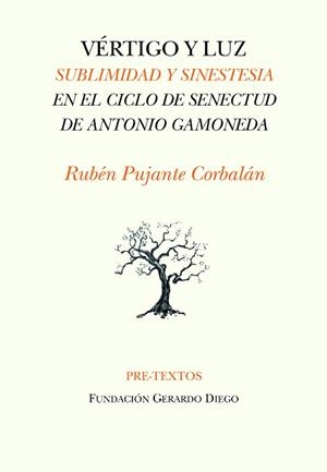 VÉRTIGO Y LUZ.SUBLIMIDAD Y SINESTESIA EN LA POESÍA DE ANTONIO GAMONEDA | 9788418935237 | PUJANTE CORBALÁN,RUBÉN | Llibreria Geli - Llibreria Online de Girona - Comprar llibres en català i castellà