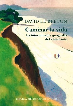CAMINAR LA VIDA.LA VISIÓN DE LOS MEJORES ARTISTAS DEL CÓMIC INDEPENDIENTE AMERICANO | 9788418859809 | LE BRETON,DAVID | Llibreria Geli - Llibreria Online de Girona - Comprar llibres en català i castellà