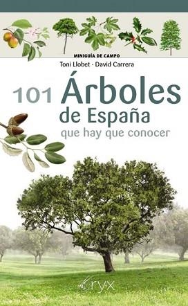 101 ÁRBOLES DE ESPAÑA | 9788418735097 | LLOBET FRANÇOIS,TONI/CARRERA BONET,DAVID | Libreria Geli - Librería Online de Girona - Comprar libros en catalán y castellano
