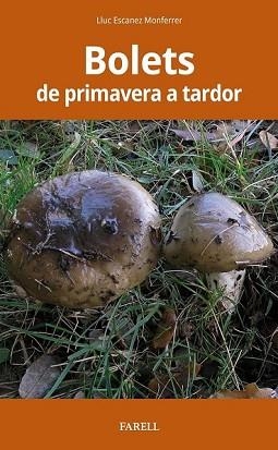 BOLETS DE PRIMAVERA A TARDOR | 9788417116538 | ESCANEZ MONFERRER,LLUC | Libreria Geli - Librería Online de Girona - Comprar libros en catalán y castellano