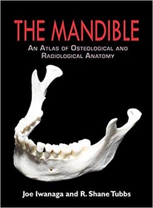 THE MANDIBLE.AN ATLAS OF OSTEOLOGICAL AND RADIOLOGICAL ANATOMY | 9780398093785 | IWANAGA,D. | Llibreria Geli - Llibreria Online de Girona - Comprar llibres en català i castellà