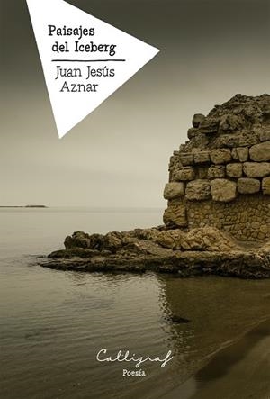 PAISAJES DEL ICEBERG | 9788412459241 | AZNAR,JUAN JESÚS | Libreria Geli - Librería Online de Girona - Comprar libros en catalán y castellano