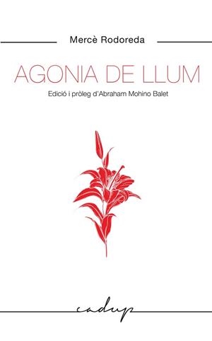 AGONIA DE LLUM | 9788412455748 | RODOREDA GURGUI,MERCÈ | Libreria Geli - Librería Online de Girona - Comprar libros en catalán y castellano