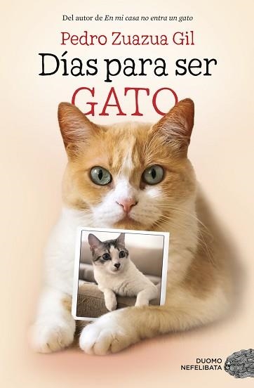 DÍAS PARA SER GATO | 9788417128524 | ZUAZUA GIL,PEDRO | Libreria Geli - Librería Online de Girona - Comprar libros en catalán y castellano