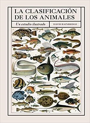 LA CLASIFICACION DE LOS ANIMALES | 9788428217521 | BAINBRIDGE, DAVID | Llibreria Geli - Llibreria Online de Girona - Comprar llibres en català i castellà
