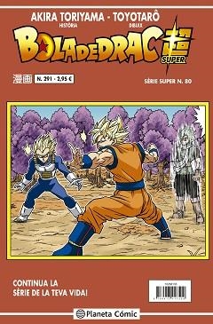 BOLA DE DRAC SÈRIE VERMELLA Nº 291 | 9788491746270 | TORIYAMA,AKIRA | Libreria Geli - Librería Online de Girona - Comprar libros en catalán y castellano