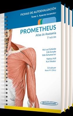 PROMETHEUS.ATLAS DE ANATOMÍA(FICHAS DE AUTOEVALUACIÓN.7ª EDICIÓN 2022) | 9788491106517 | SCHÜNKE, MICHAEL/SCHULTE, ERIK/SCHUMACHER, UDO | Libreria Geli - Librería Online de Girona - Comprar libros en catalán y castellano