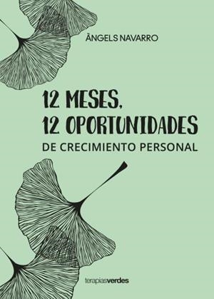 12 MESES 12 OPORTUNIDADES | 9788416972937 | NAVARRO SIMÓN,ÀNGELS | Libreria Geli - Librería Online de Girona - Comprar libros en catalán y castellano