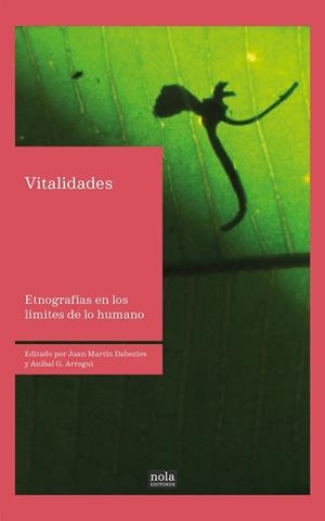 VITALIDADES.ETNOGRAFÍAS EN LOS LÍMITES DE LO HUMANO | 9788418164156 | MARTÍN DABEZIES,JUAN/GARCÍA ARREGUI,ANÍBAL | Libreria Geli - Librería Online de Girona - Comprar libros en catalán y castellano