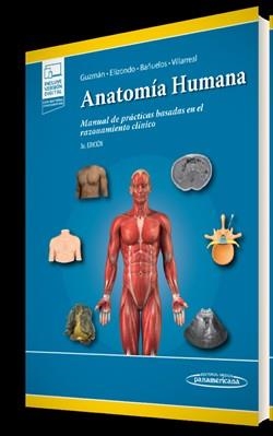 ANATOMÍA HUMANA EN CASOS CLÍNICOS(5ª EDICIÓN 2022) | 9786078546664 | GUZMÁN LÓPEZ,SANTOS/ELIZONDO-OMAÑA,RODRIGO E. | Libreria Geli - Librería Online de Girona - Comprar libros en catalán y castellano