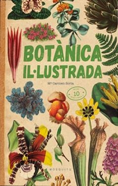 BOTÀNICA IL·LUSTRADA | 9788419095091 | SORIA,CARMEN | Libreria Geli - Librería Online de Girona - Comprar libros en catalán y castellano