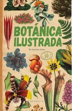 BOTÁNICA ILUSTRADA | 9788419095084 | SORIA,CARMEN | Libreria Geli - Librería Online de Girona - Comprar libros en catalán y castellano