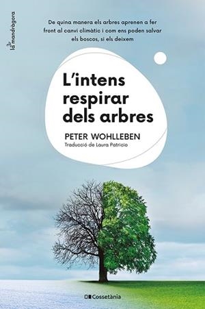 L'INTENS RESPIRAR DELS ARBRES | 9788413562087 | WOHLLEBEN,PETER | Llibreria Geli - Llibreria Online de Girona - Comprar llibres en català i castellà