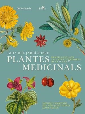 GUIA DEL JARDÍ SOBRE PLANTES MEDICINALS.REMEIS CASOLANS I PLANTES GUARIDORES DE LA A A LA Z | 9788413562070 | IRVING,JASON/HOWES,MELANIE-JAYNE/SIMMONDS,MONIQUE | Libreria Geli - Librería Online de Girona - Comprar libros en catalán y castellano