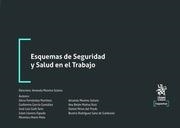 ESQUEMAS DE SEGURIDAD Y SALUD EN EL TRABAJO | 9788411309479 | MORENO SOLANA,AMANDA | Llibreria Geli - Llibreria Online de Girona - Comprar llibres en català i castellà