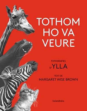 TOTHOM HO VA VEURE | 9788418558580 | BROWN,MARGARET WISE | Libreria Geli - Librería Online de Girona - Comprar libros en catalán y castellano