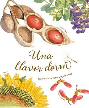 UNA LLAVOR DORM | 9788418900235 | HUTTS ASTON,DIANNA | Libreria Geli - Librería Online de Girona - Comprar libros en catalán y castellano