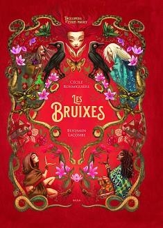 LES BRUIXES | 9788447948987 | LACOMBE,BENJAMIN/ROUMIGUIÈRE,CÉCILE | Libreria Geli - Librería Online de Girona - Comprar libros en catalán y castellano