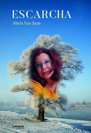 ESCARCHA | 9788411443845 | SAN JUAN,ALICIA | Llibreria Geli - Llibreria Online de Girona - Comprar llibres en català i castellà