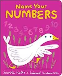 NAME YOUR NUMBERS | 9781406387827 | HALLS,SMRITI | Libreria Geli - Librería Online de Girona - Comprar libros en catalán y castellano
