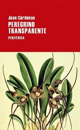 PEREGRINO TRANSPARENTE | 9788418838620 | CÁRDENAS,JUAN | Libreria Geli - Librería Online de Girona - Comprar libros en catalán y castellano
