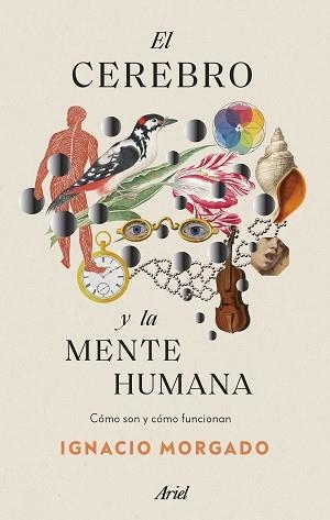 EL CEREBRO Y LA MENTE HUMANA.CÓMO SON Y CÓMO FUNCIONAN | 9788434435988 | MORGADO,IGNACIO | Libreria Geli - Librería Online de Girona - Comprar libros en catalán y castellano