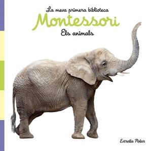 ELS ANIMALS(LLIBRE DE TELA. LA MEVA PRIMERA BIBLIOTECA MONTESSORI) | 9788413892856 |   | Libreria Geli - Librería Online de Girona - Comprar libros en catalán y castellano
