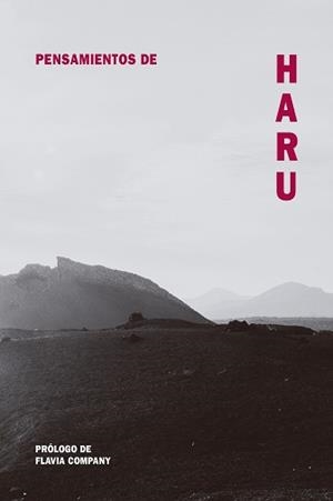 PENSAMIENTOS DE HARU | 9788418223495 | COMPANY,FLAVIA | Llibreria Geli - Llibreria Online de Girona - Comprar llibres en català i castellà