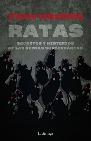 RATAS.SECRETOS Y MISTERIOS DE LAS REINAS SUBTERRANEAS | 9788419164445 | MOURIN,IVAN | Llibreria Geli - Llibreria Online de Girona - Comprar llibres en català i castellà