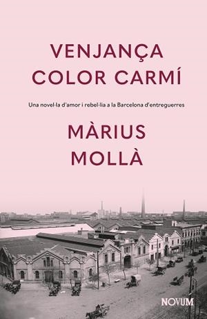 VENJANÇA COLOR CARMÍ | 9788419311771 | MOLLÀ,MÀRIUS | Libreria Geli - Librería Online de Girona - Comprar libros en catalán y castellano